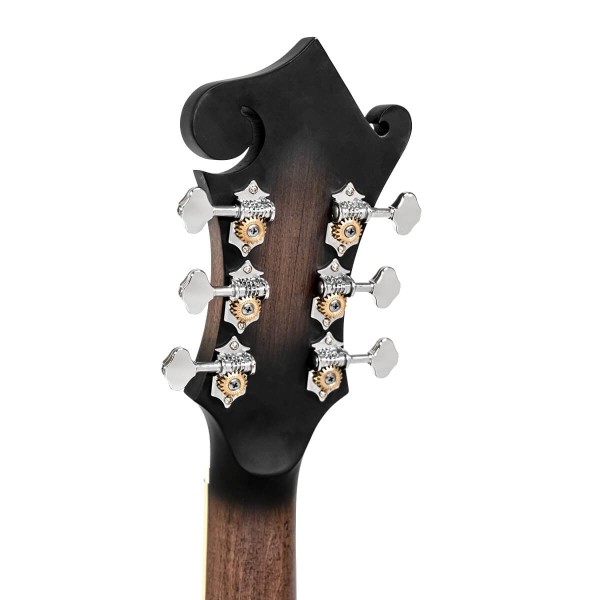 Cutaway Manditar Y90698