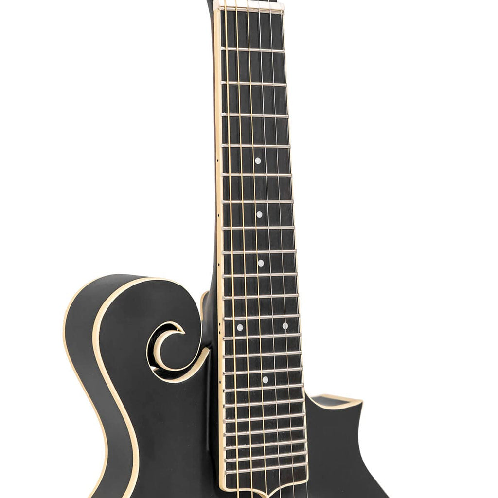 Cutaway Manditar Y90698