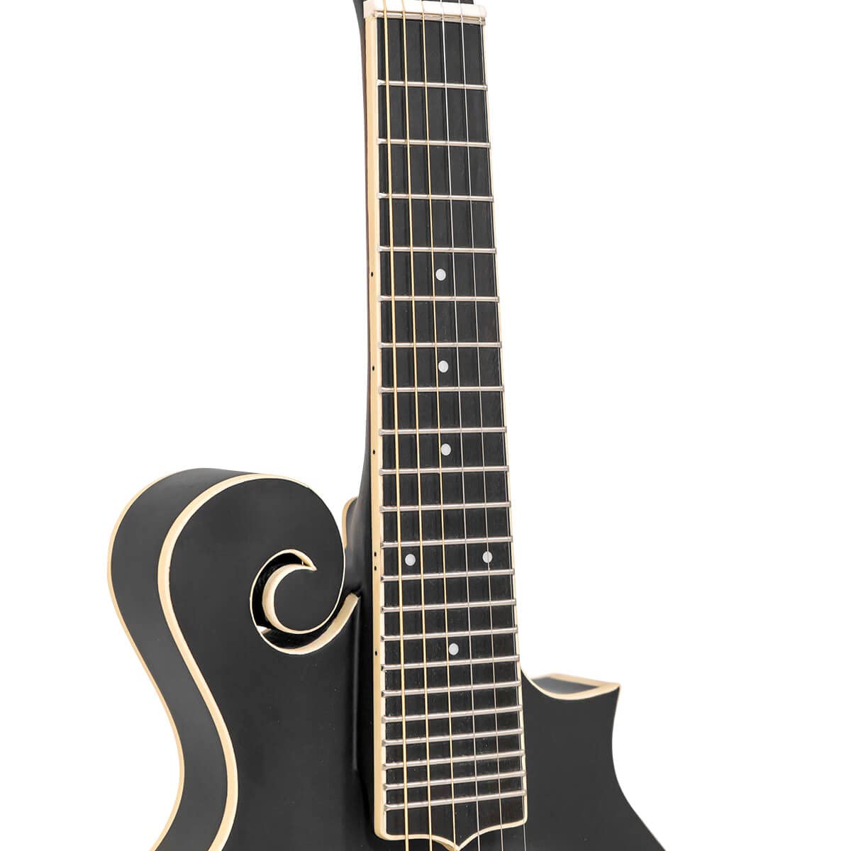 Cutaway Manditar Y90698