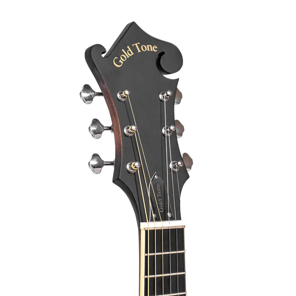 Cutaway Manditar Y90698
