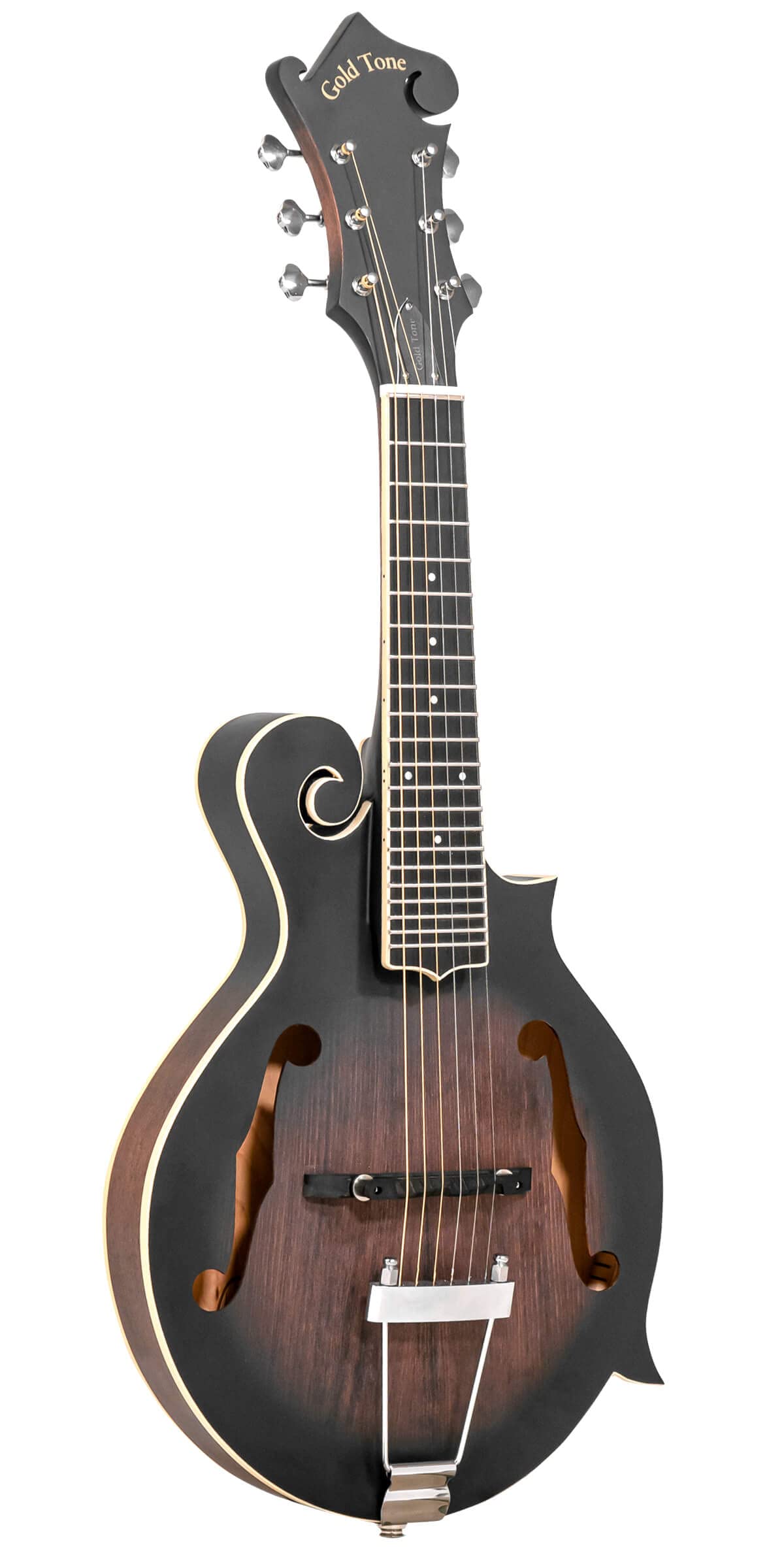 Cutaway Manditar Y90698