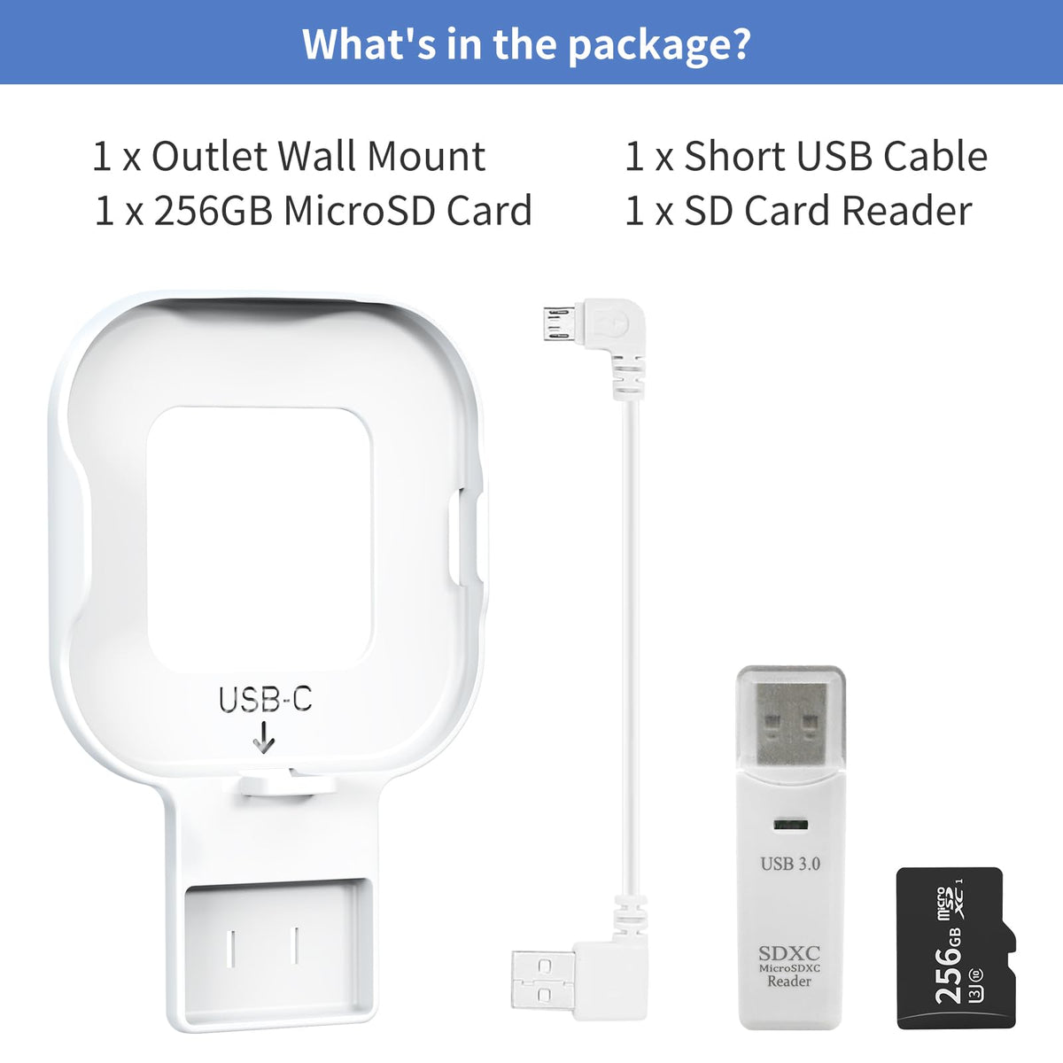 256GB MicroSD Card and Wall Mount with USB-C Cable N210
