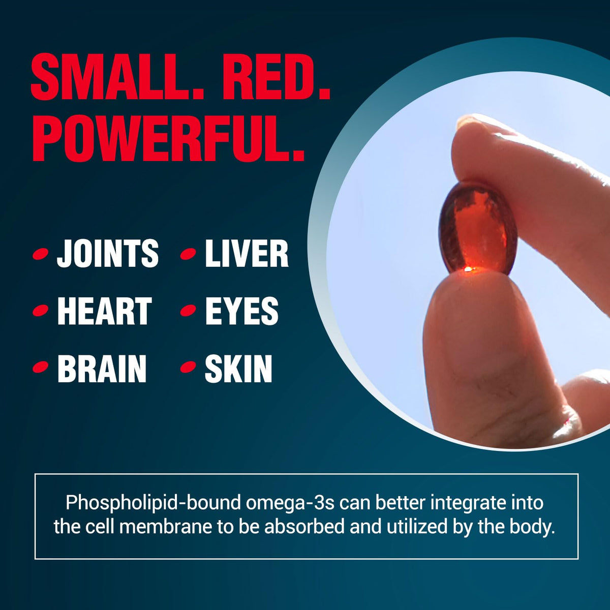 Omega-3 Krill Oil 60 Ct x 2 Pack G60006