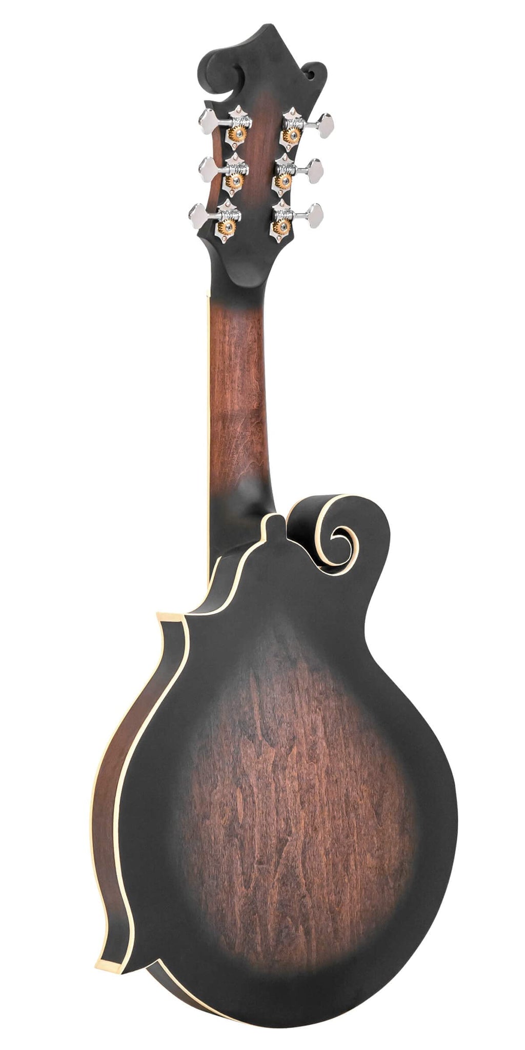 Cutaway Manditar Y90698