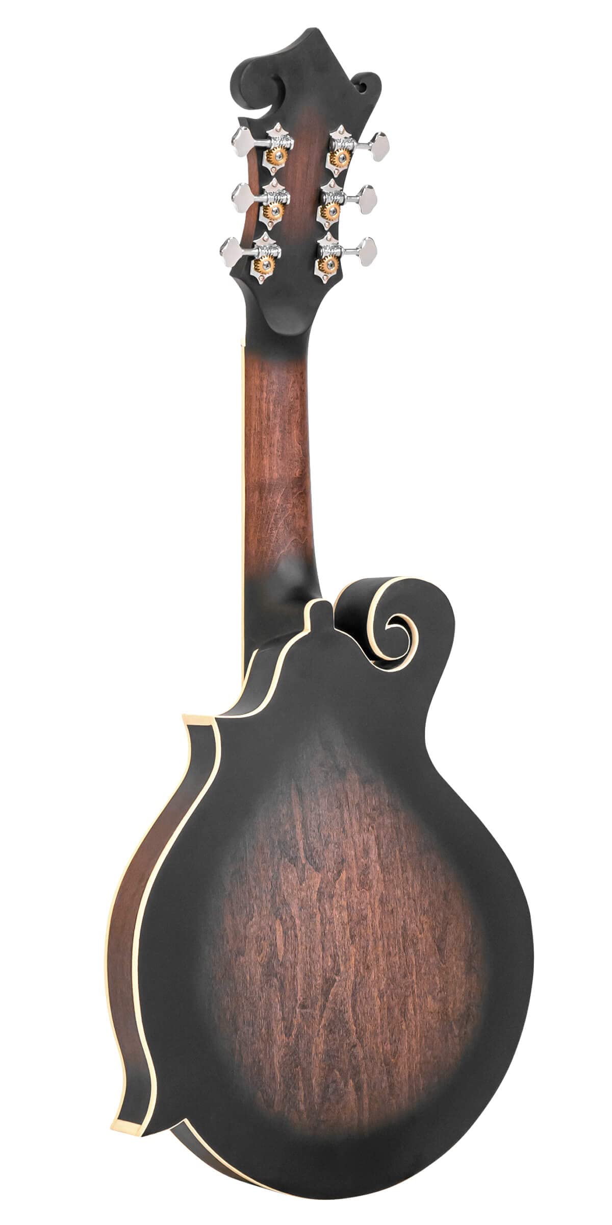 Cutaway Manditar Y90698