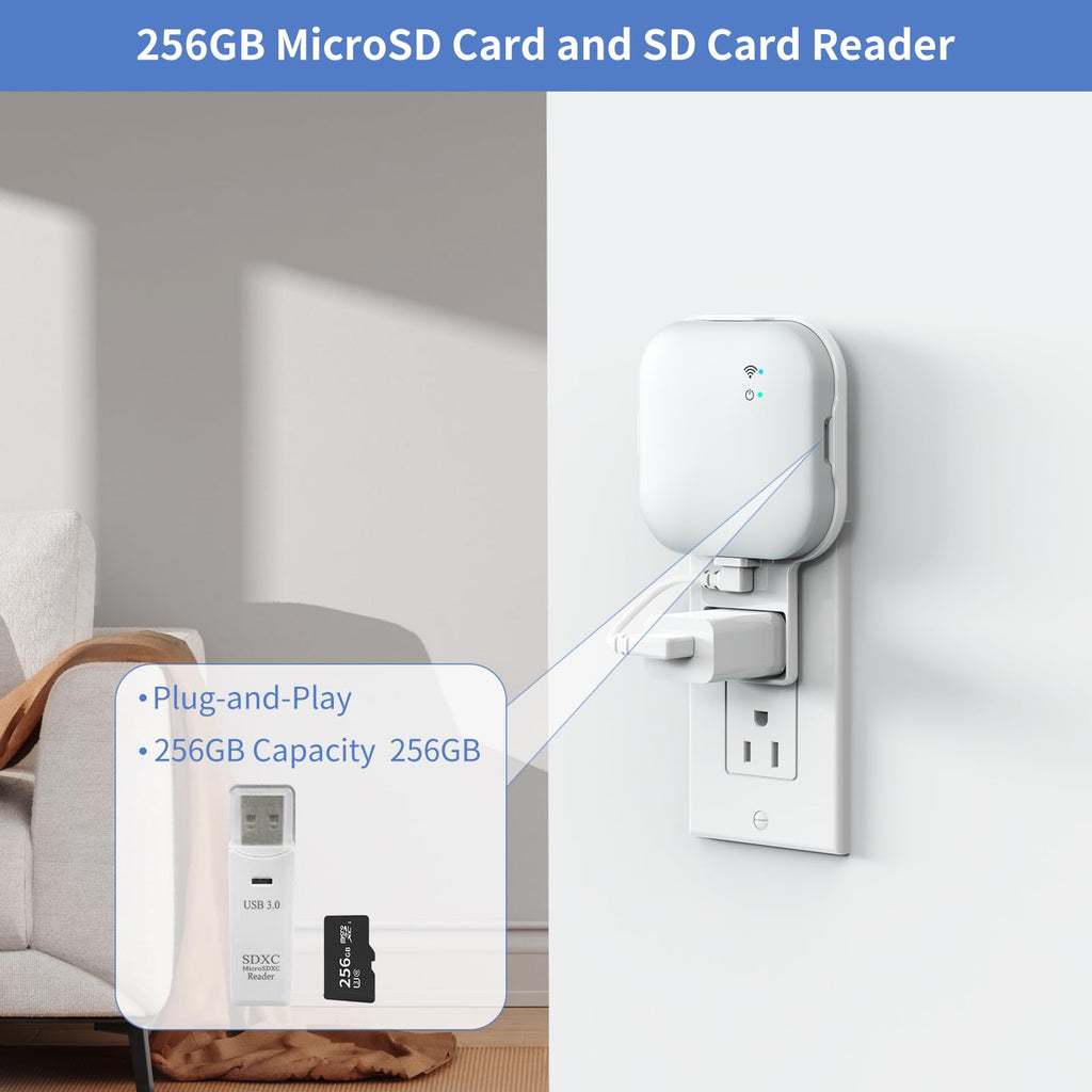 256GB MicroSD Card and Wall Mount with USB-C Cable N210