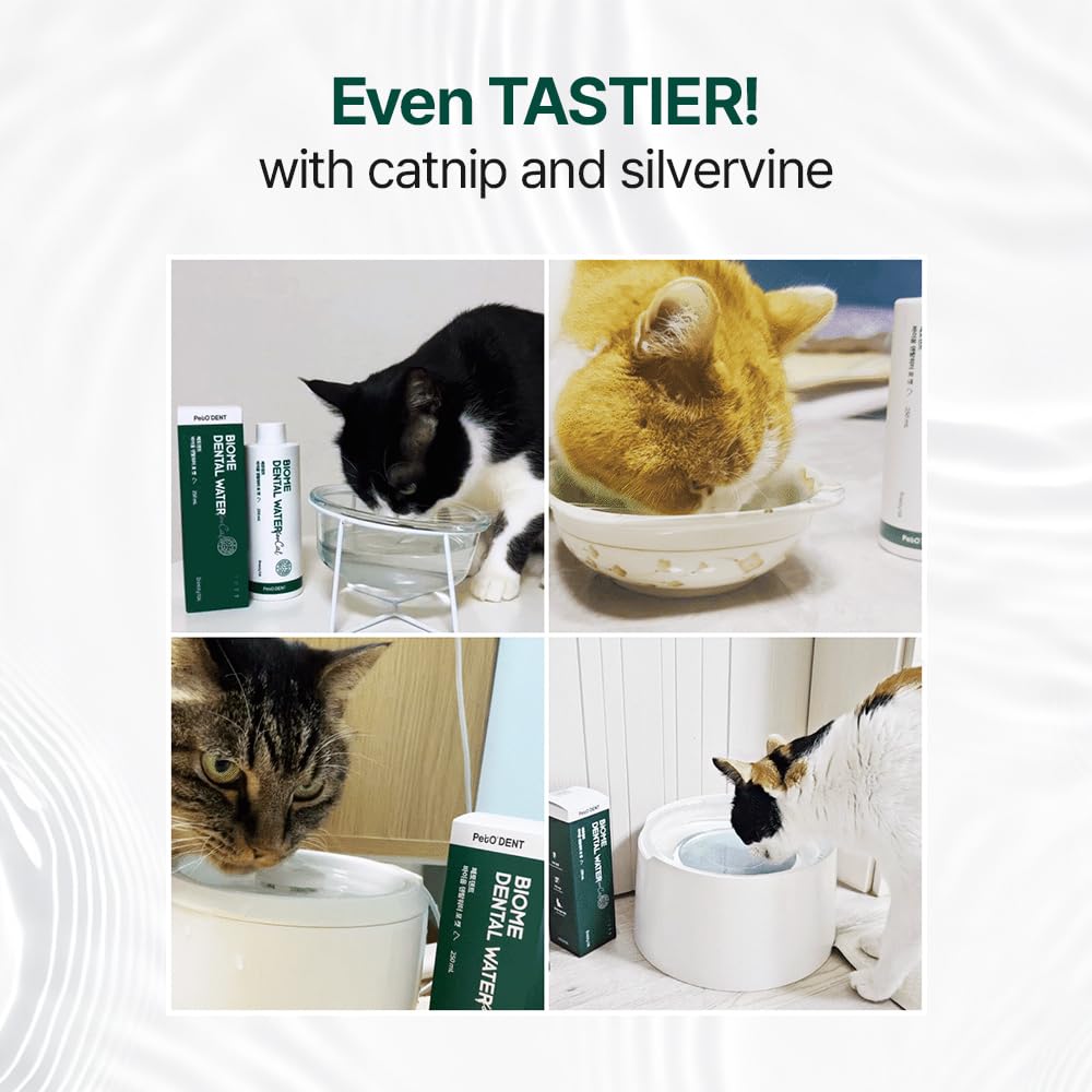 Dental Water Additive for Cats 8.45 fl oz M4471