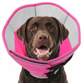 Soft Dog Cone Collar P48272