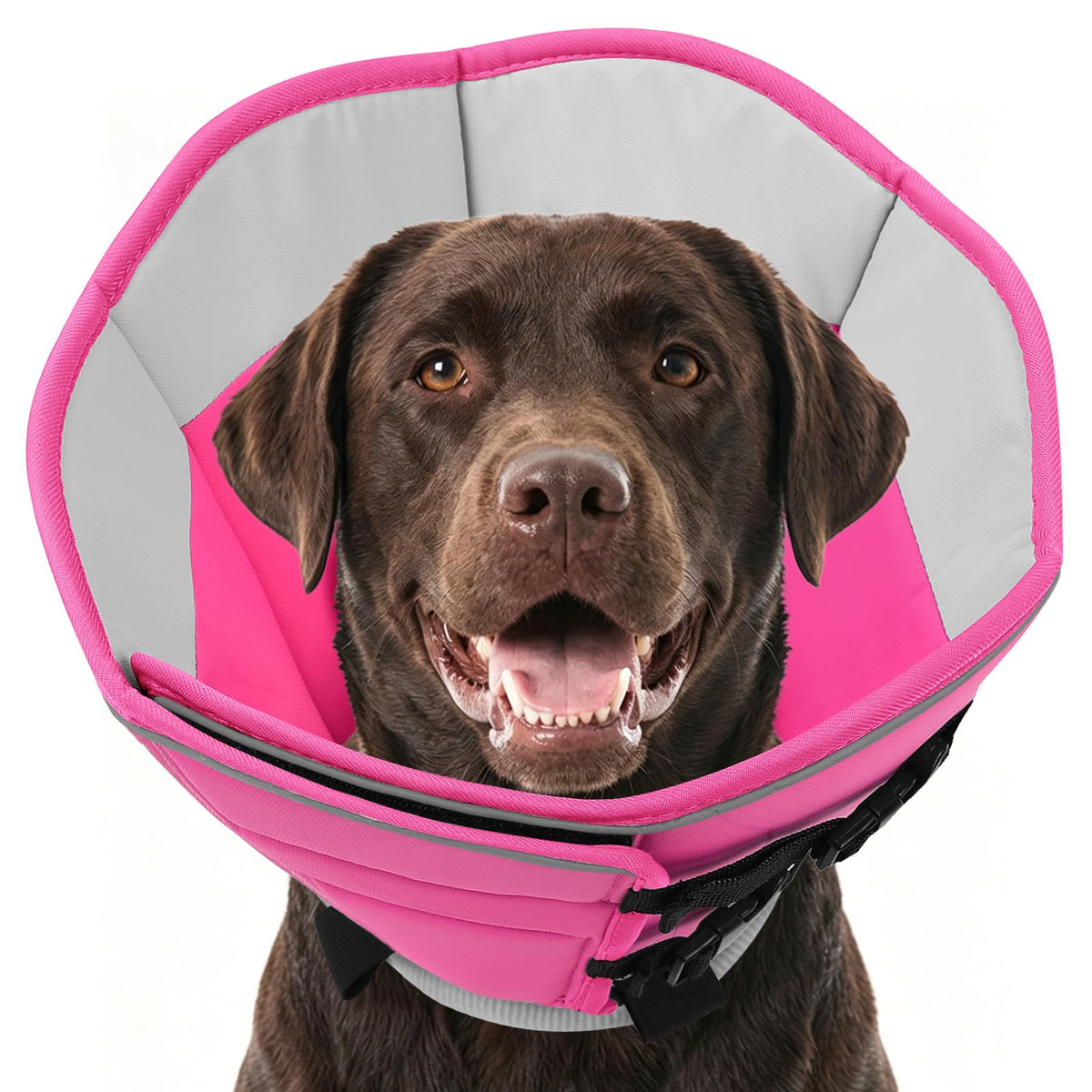 Soft Dog Cone Collar P48272