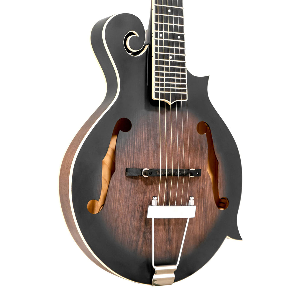 Cutaway Manditar Y90698