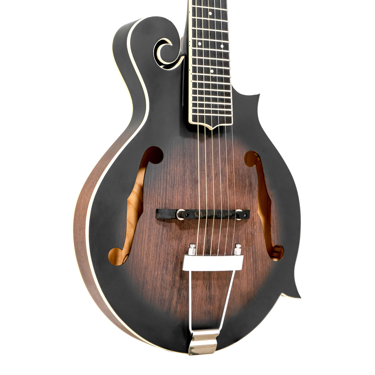 Cutaway Manditar Y90698