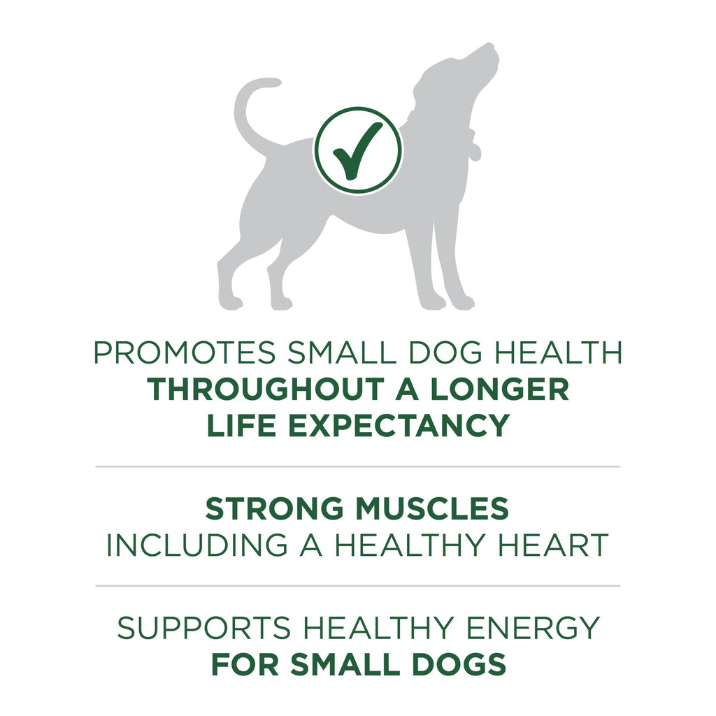 High Protein Dry Dog Food, Lamb, 7.4 lb Bag Q3924