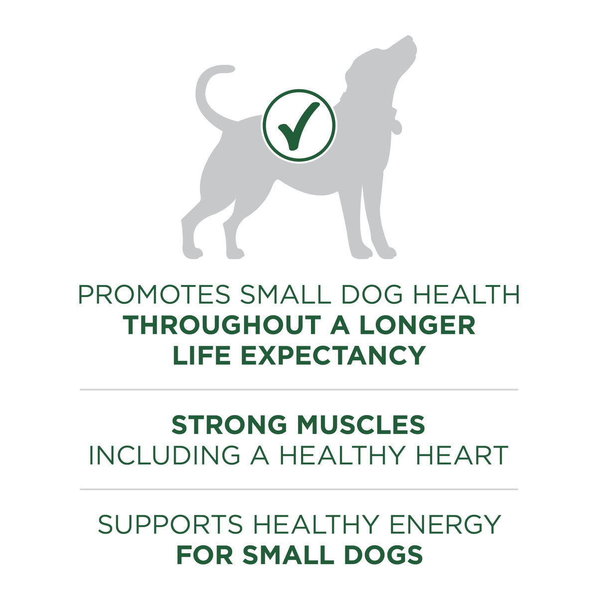 High Protein Dry Dog Food, Lamb, 7.4 lb Bag Q3924