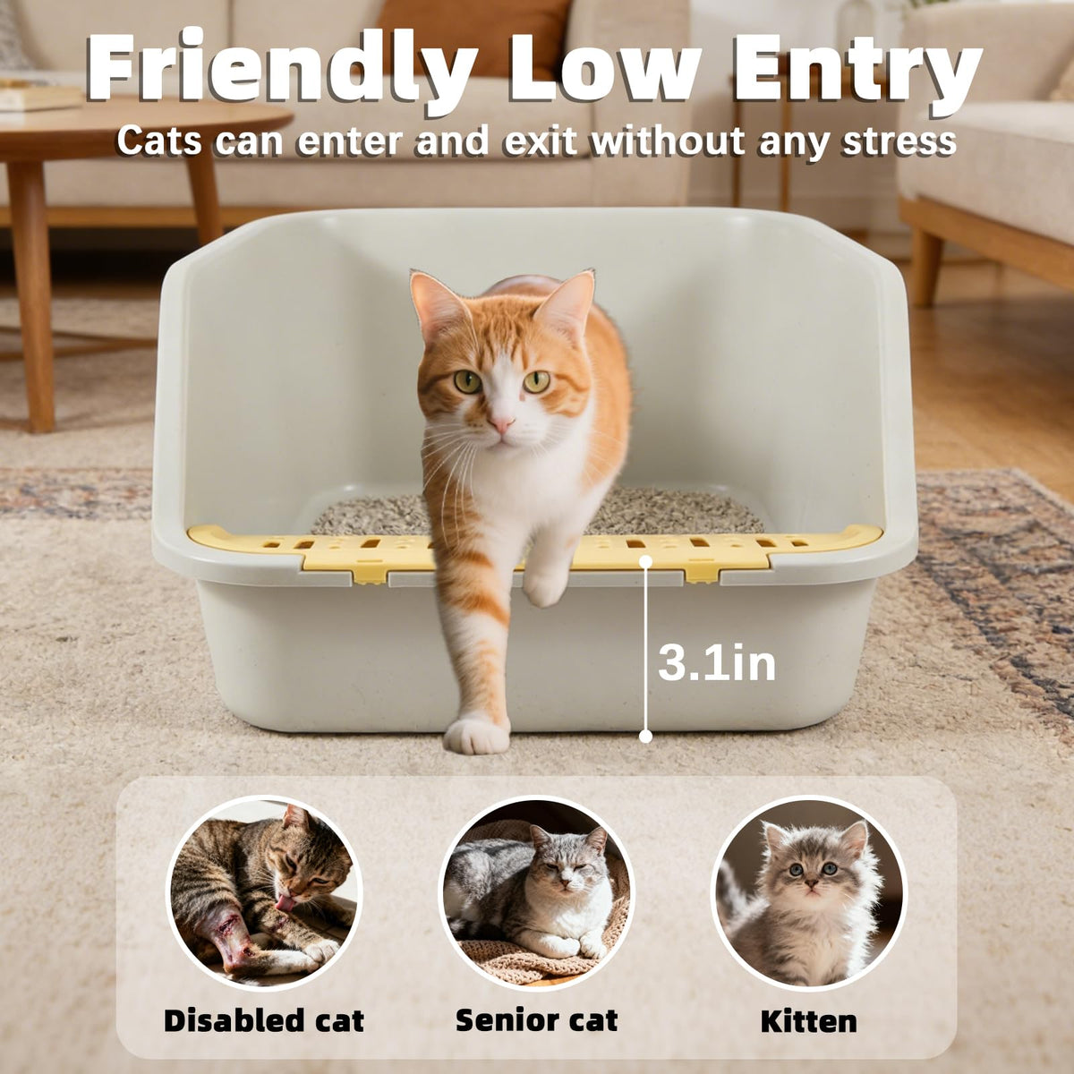 High Sides Open Top Cat Litter Box with Low Entry Z21076