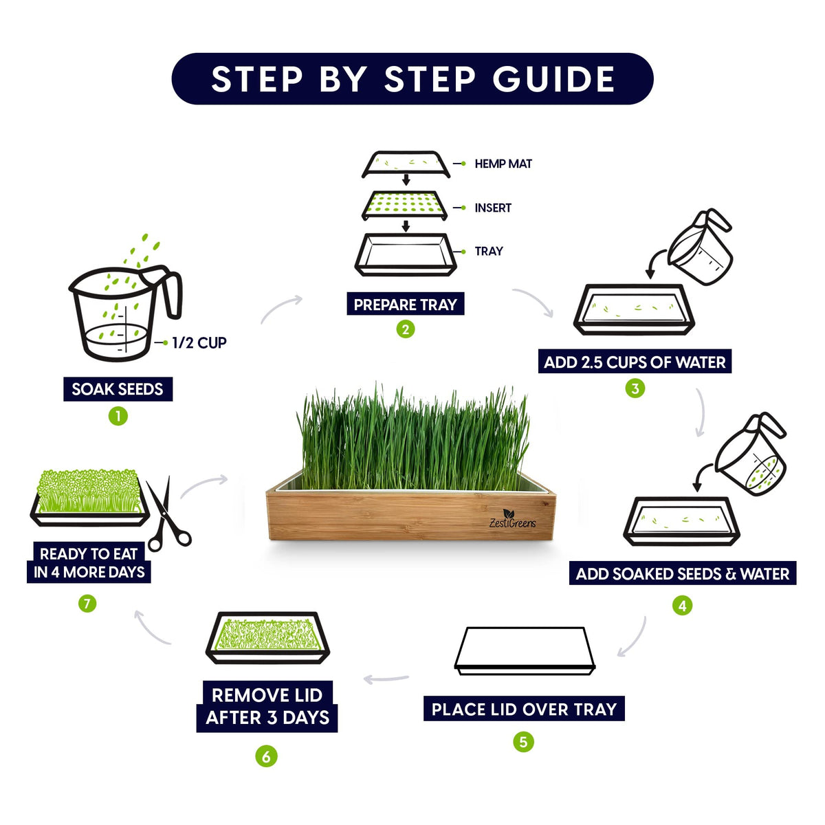 Self-Watering Cat Grass Kit and Refills, 4 Mats and 4 Seed Packets A669718