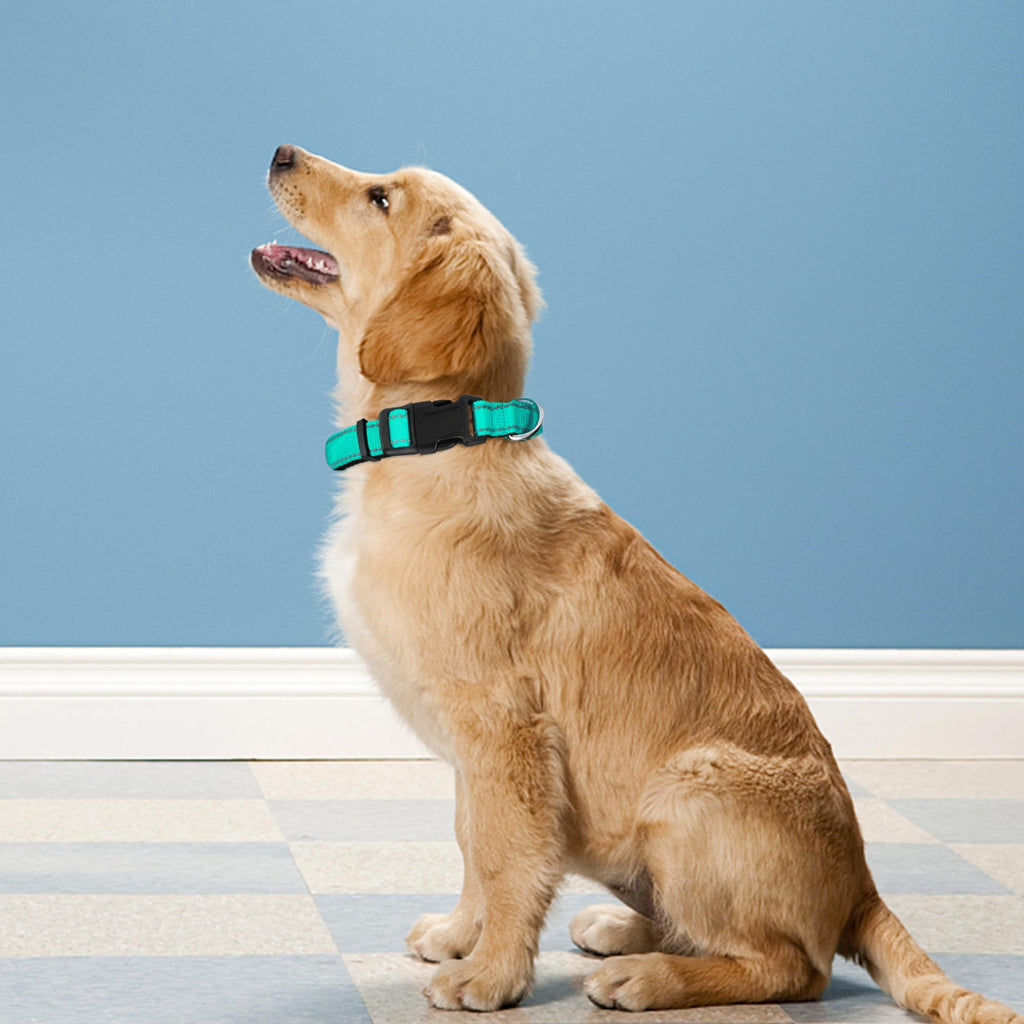 Reflective Adjustable Soft Neoprene Padded Dog Collar T8857