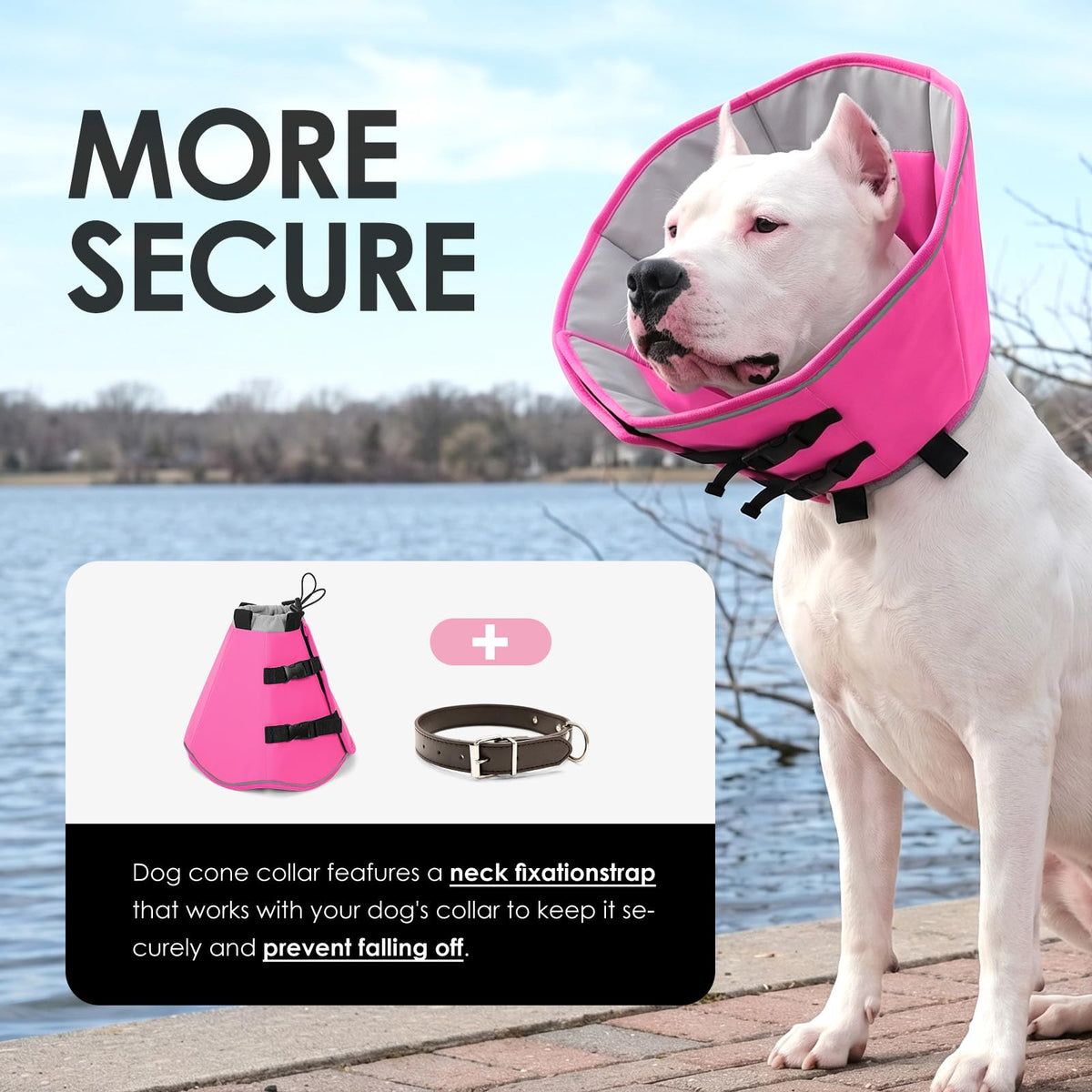 Soft Dog Cone Collar P48272