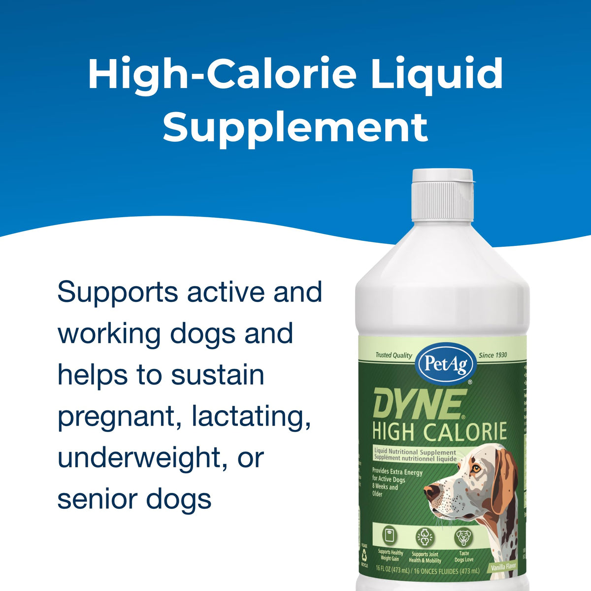 High Calorie Liquid Nutritional Supplement for Dogs & Puppies 16 oz P354