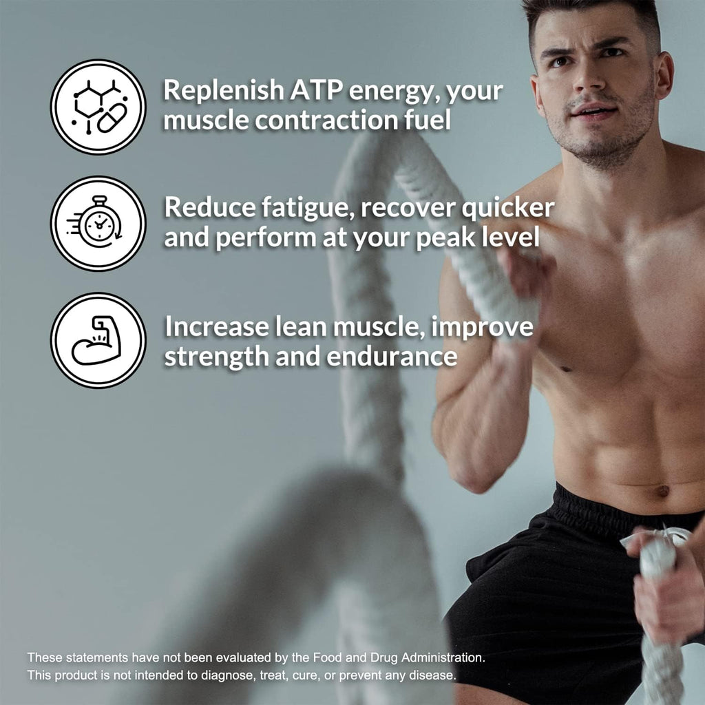 Chocolate Pea Protein Isolate 5LB and Micronized Creatine Monohydrate 500g Vegan Non-GMO G5184