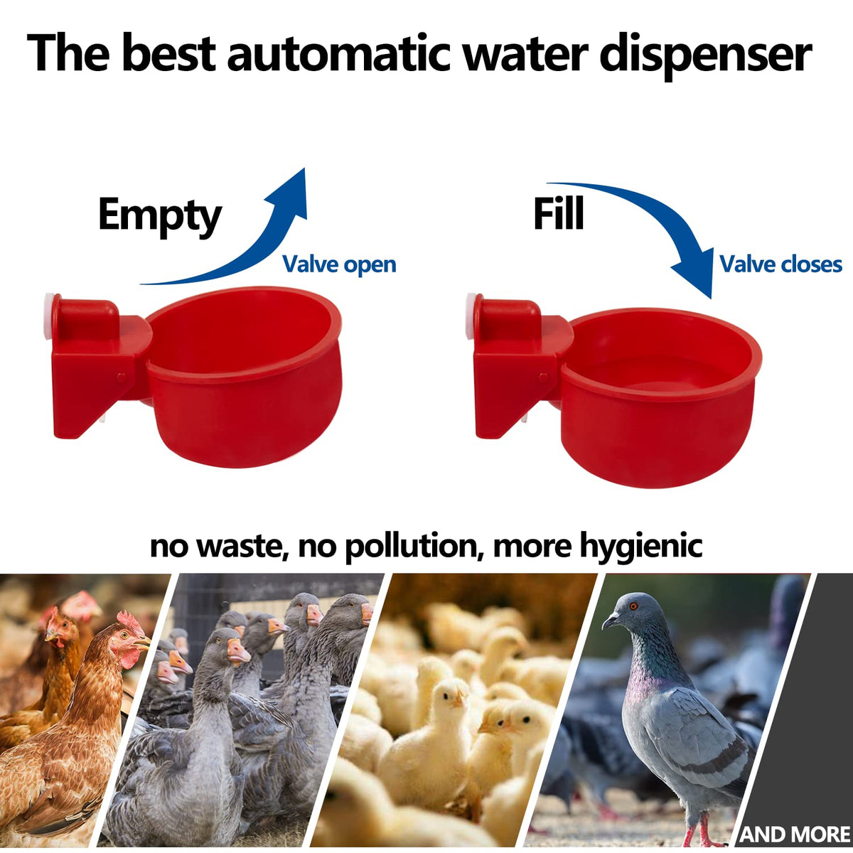 Automatic Poultry Waterer Kit 5 Gallon 12 Pack N325042
