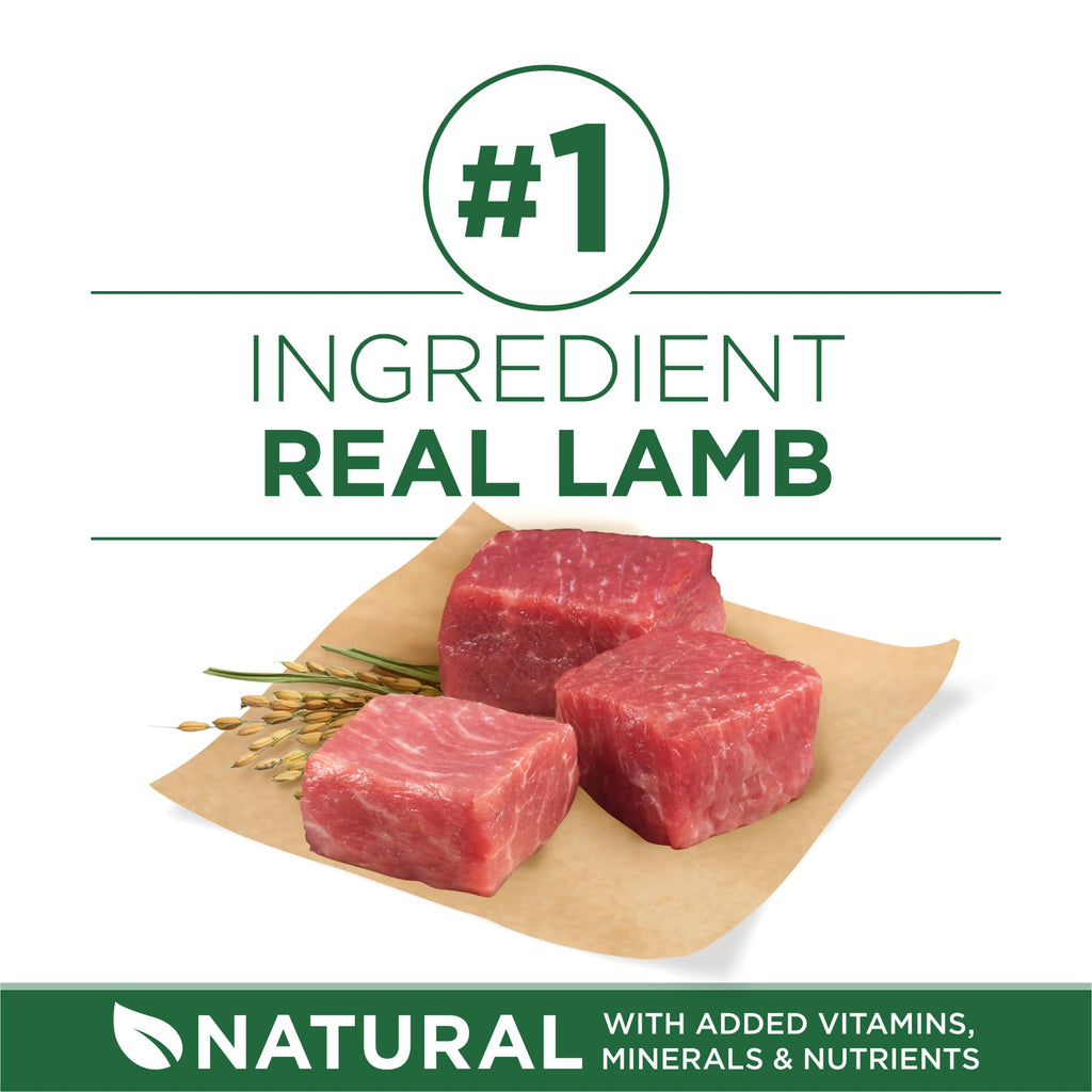 High Protein Dry Dog Food, Lamb, 7.4 lb Bag Q3924