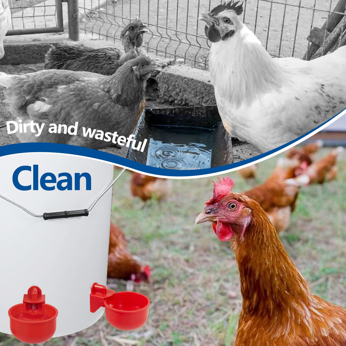 Automatic Poultry Waterer Kit 5 Gallon 12 Pack N325042