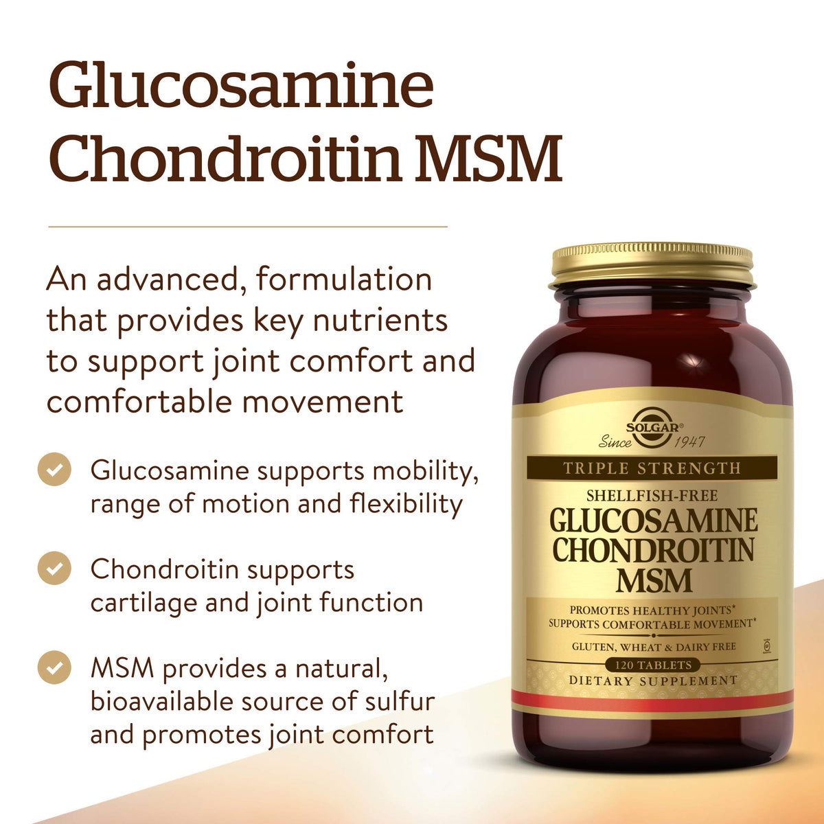 120 Tablets Glucosamine Chondroitin MSM F24450