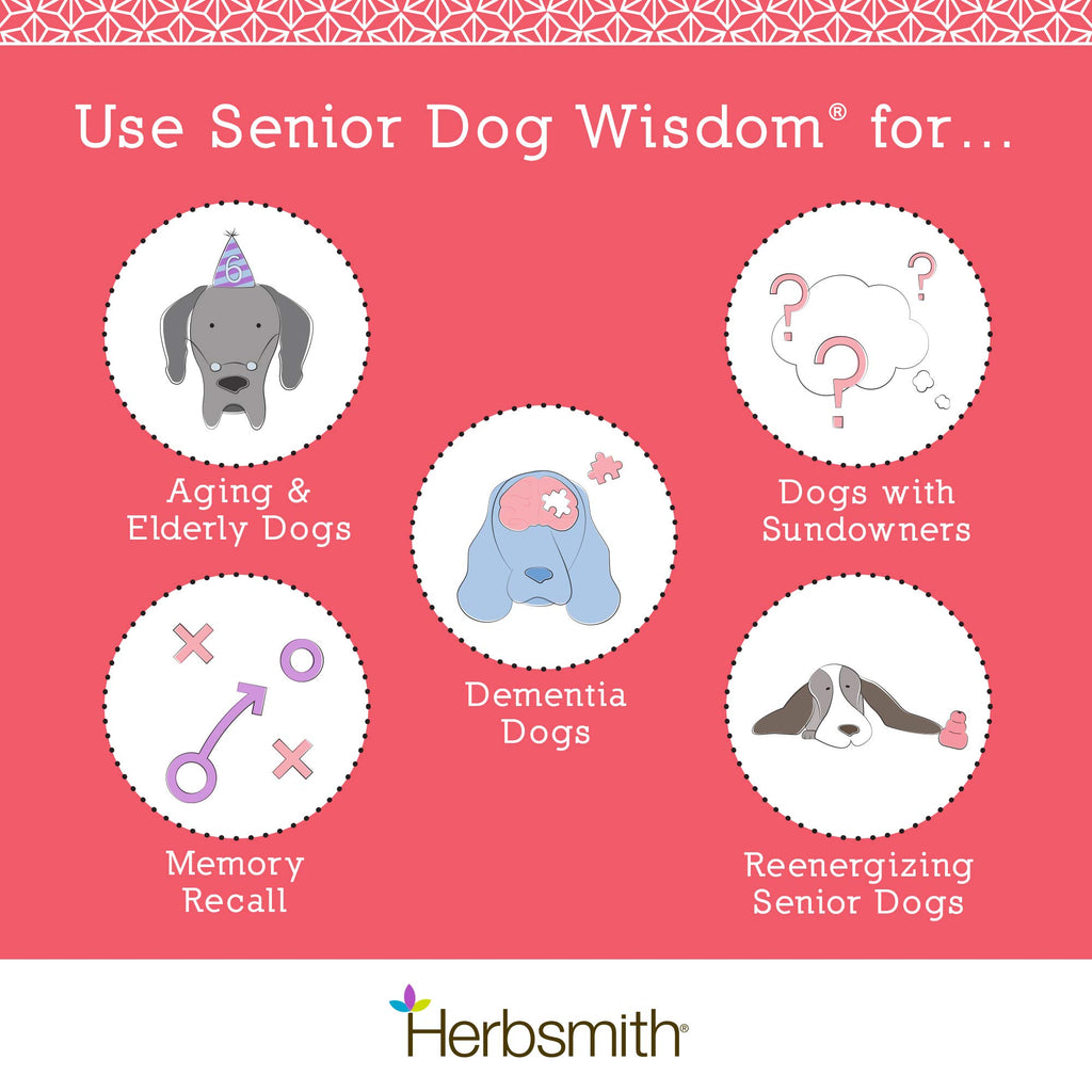 Senior Dog Supplement 60ct Small Chews H720