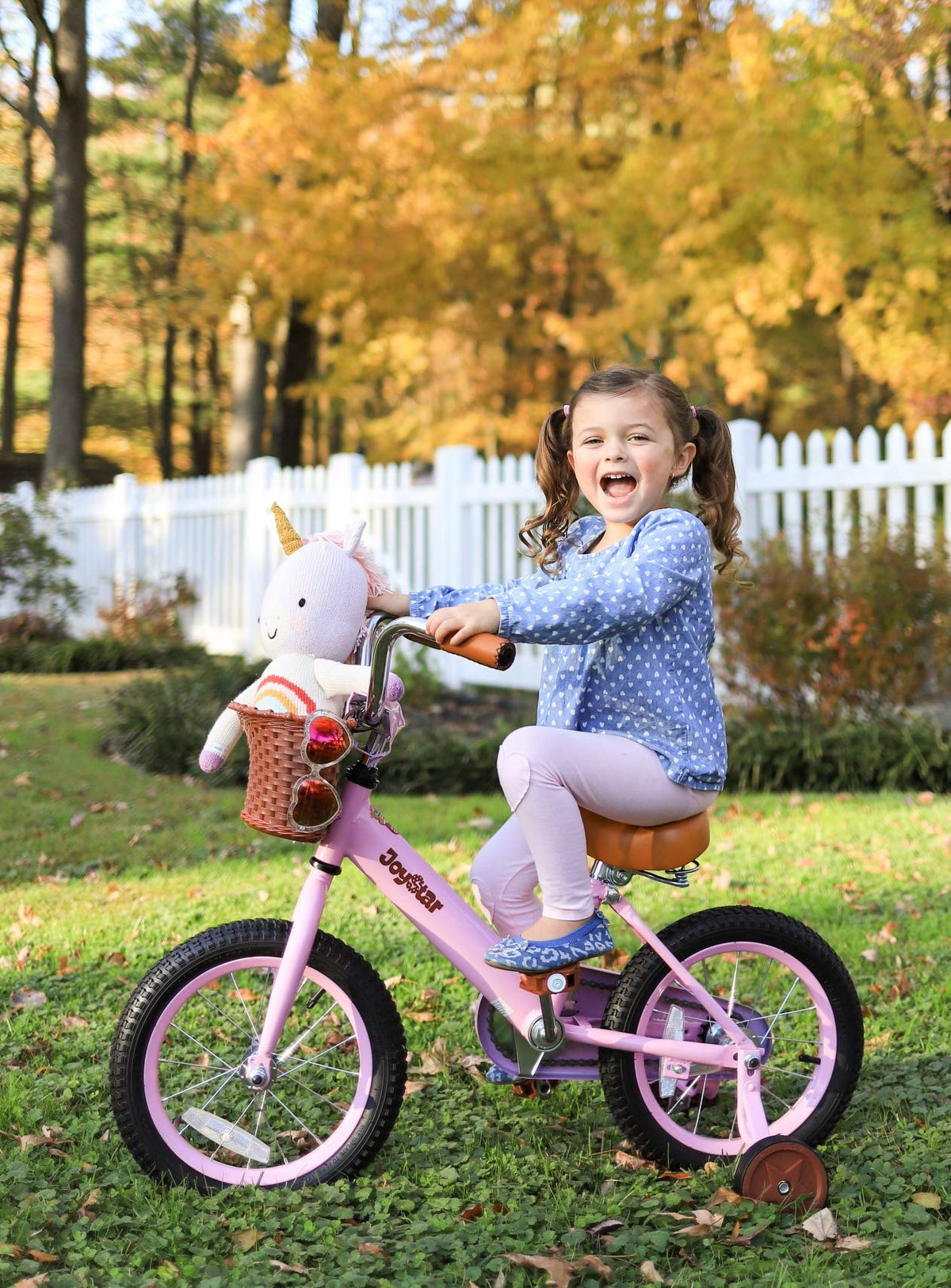 12-16" Kids Bike with Training Wheels R5305