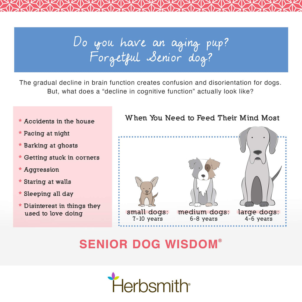 Senior Dog Supplement 60ct Small Chews H720