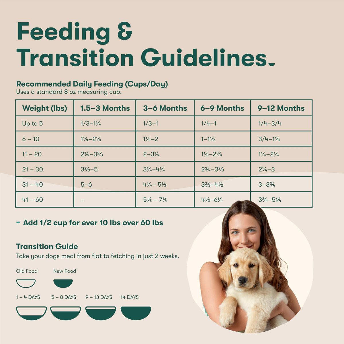 Dry Dog Food Chicken Brown Rice Sweet Potato 4lb T395
