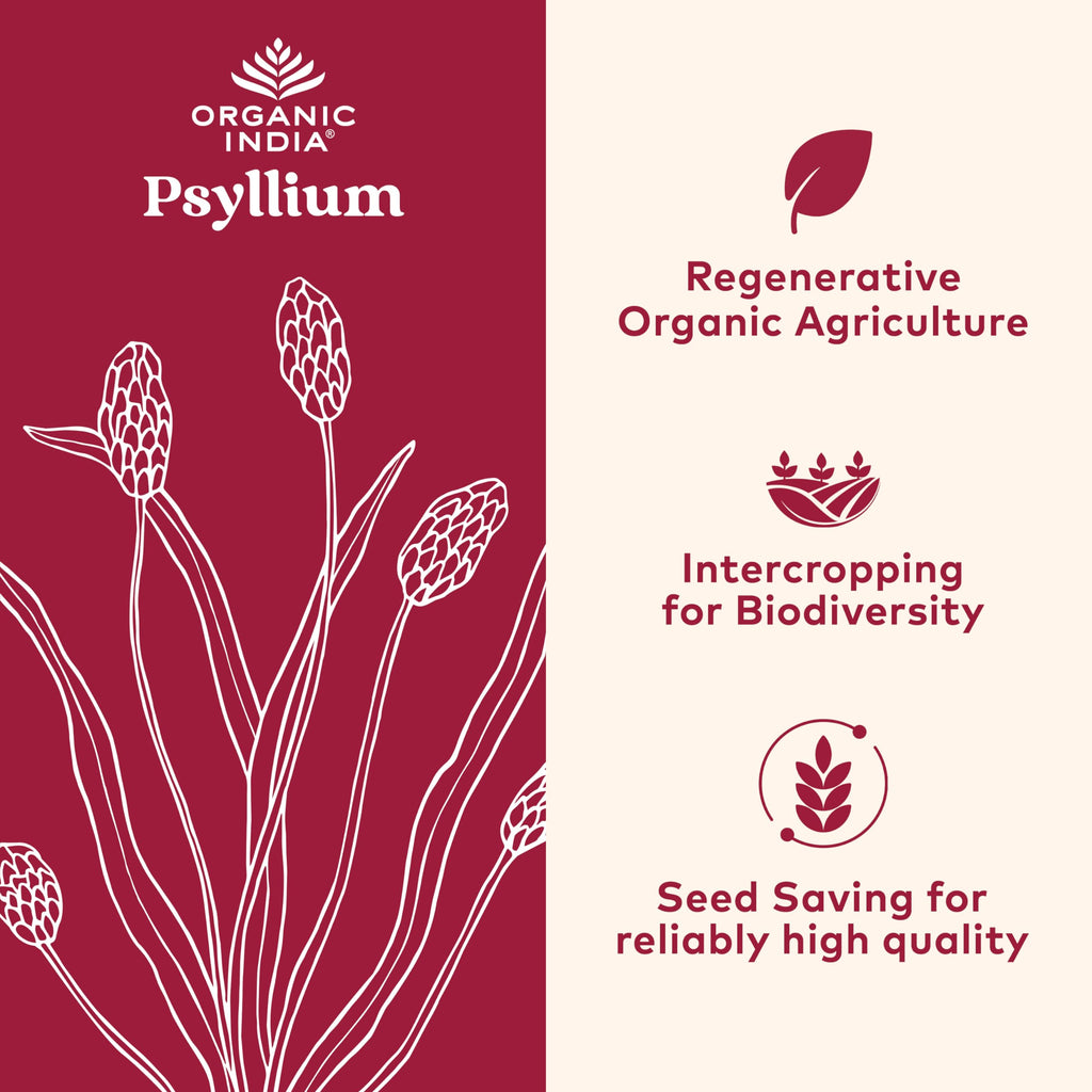 Psyllium Whole Husk Fiber Supplement 12 oz N903