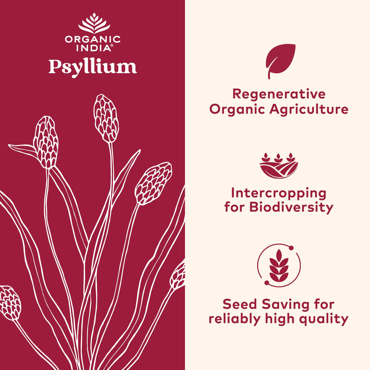 Psyllium Whole Husk Fiber Supplement 12 oz N903