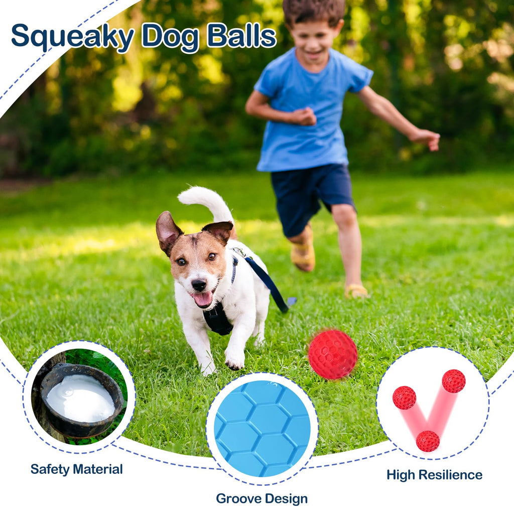 2 Pack Rubber Dog Chew Balls Z933584