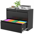 Black 2 Drawer Metal File Cabinet with Lock Z71191