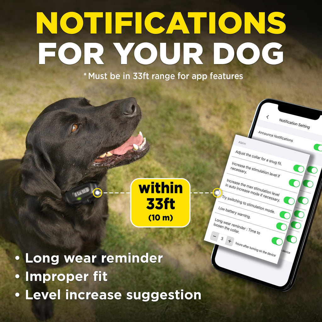 Waterproof E-Collar for 10 lb Dogs F762884