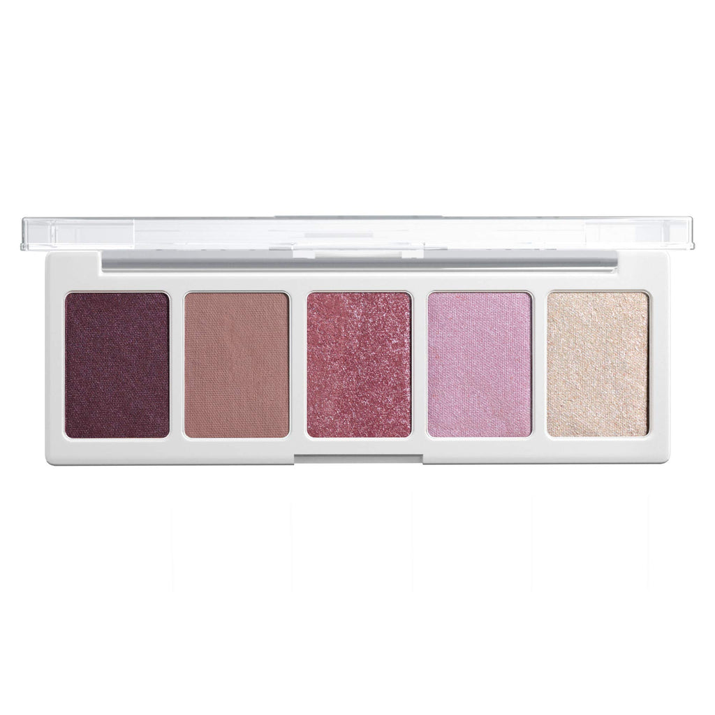 5 Pan Matte Shimmer Metallic Eyeshadow Palette T971455