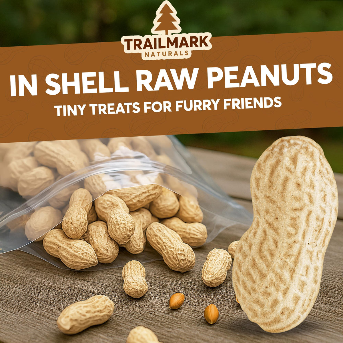 Raw In Shell Peanuts Y41290