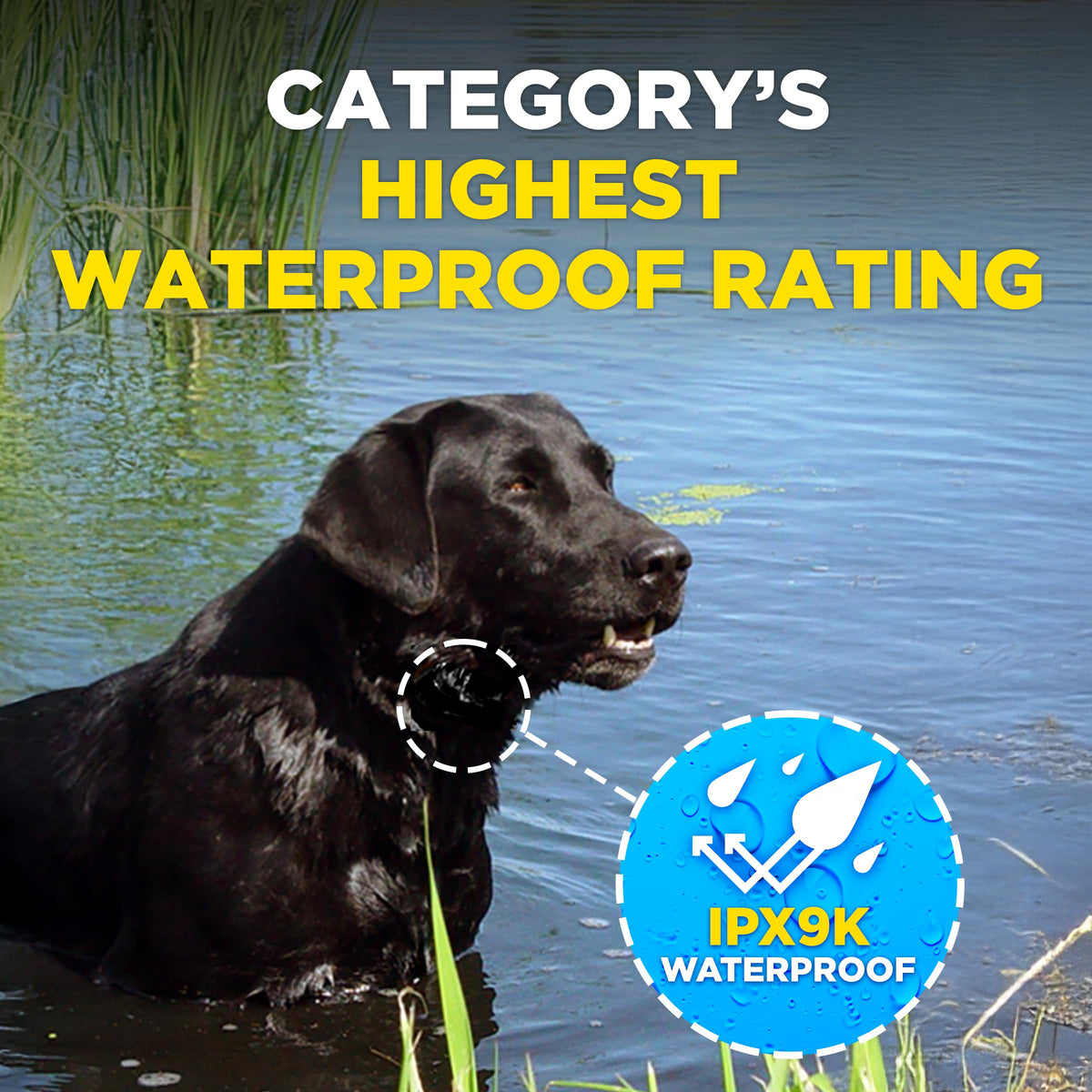 Waterproof E-Collar for 10 lb Dogs F762884