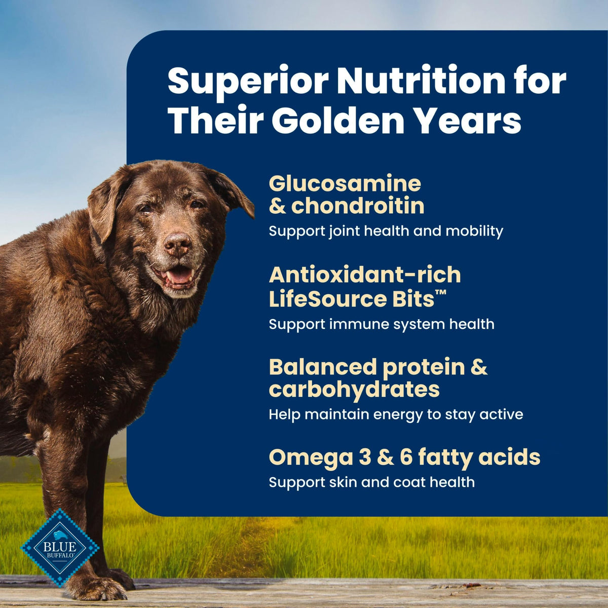 Salmon Senior Dry Dog Food, 30 lb L670