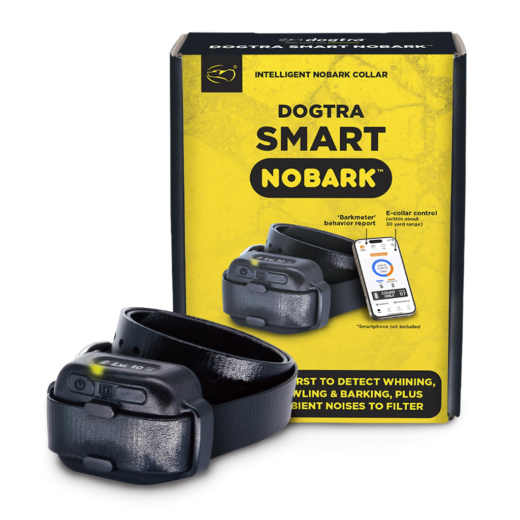 Waterproof E-Collar for 10 lb Dogs F762884