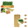 Self-Watering Cat Grass Kit and Refills, 4 Mats and 4 Seed Packets A669718