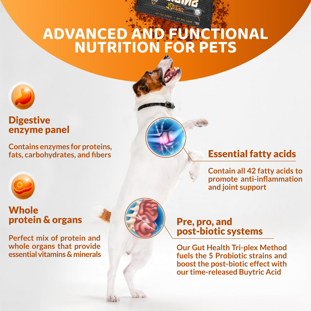 5-in-1 Dog Supplement Powdered Food Topper with Omega 3 Fish Oil 5 lbs L8484