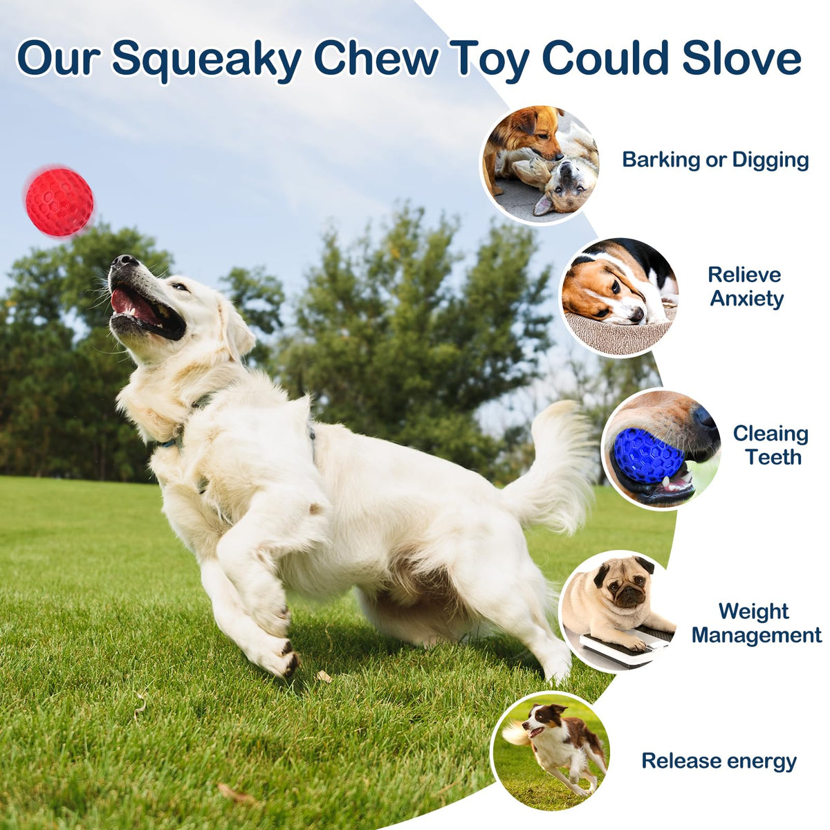 2 Pack Rubber Dog Chew Balls Z933584