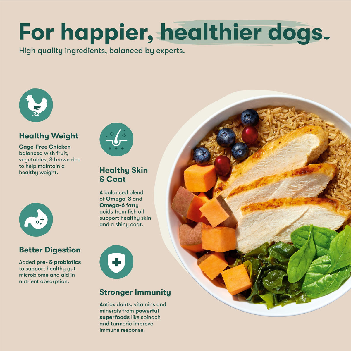 Dry Dog Food Chicken Brown Rice Sweet Potato 4lb T395
