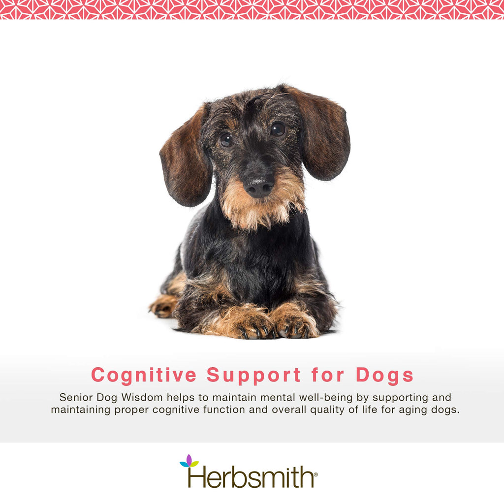 Senior Dog Supplement 60ct Small Chews H720