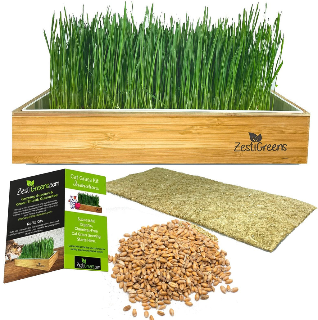 Self-Watering Cat Grass Kit and Refills, 4 Mats and 4 Seed Packets A669718