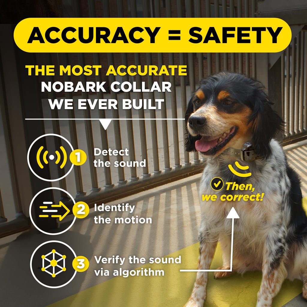 Waterproof E-Collar for 10 lb Dogs F762884