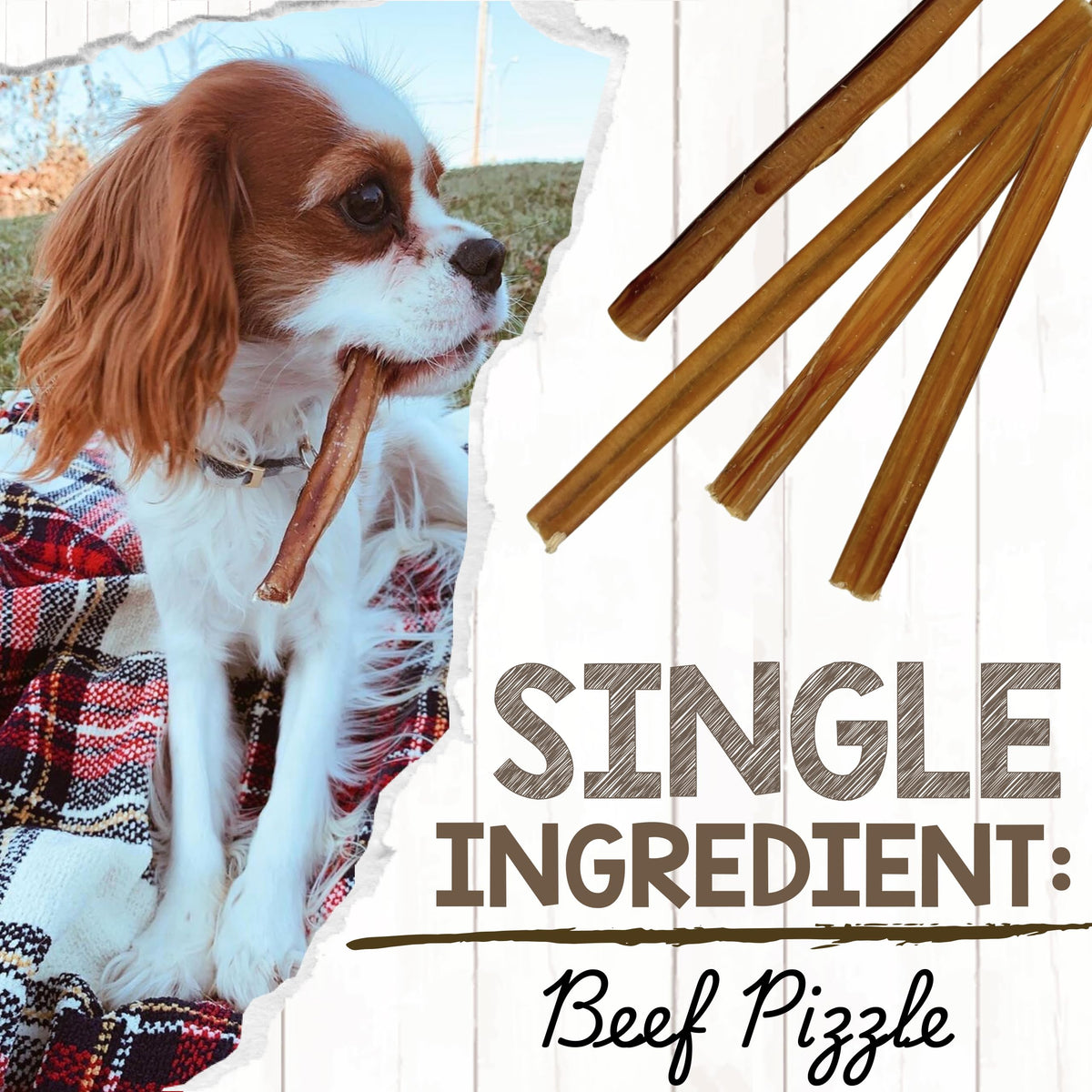Extra Thin Beef Bully Sticks 10 Count S494876
