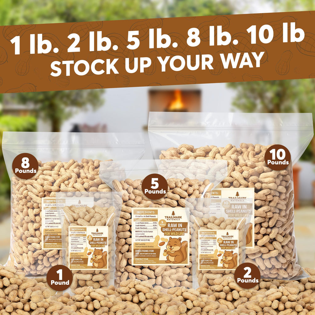 Raw In Shell Peanuts Y41290